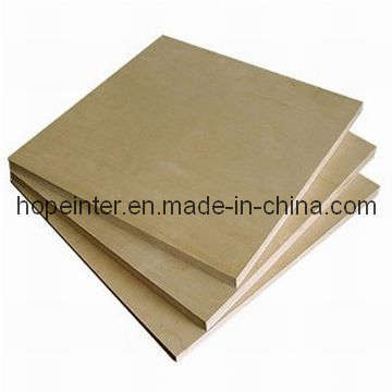 Birch Plywood / Plywood (HL028)